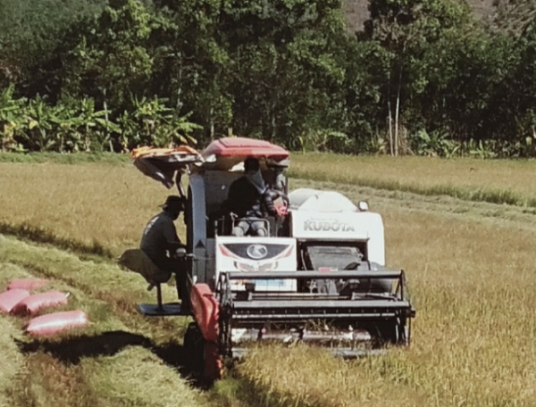 CÁT TIÊN 10 NĂM THỰC HIỆN KẾT LUẬN SỐ 61: VAI TRÒ, TRÁCH NHIỆM CỦA HỘI NÔNG DÂN CÁC CẤP KHÔNG NGỪNG ĐƯỢC NÂNG CAO