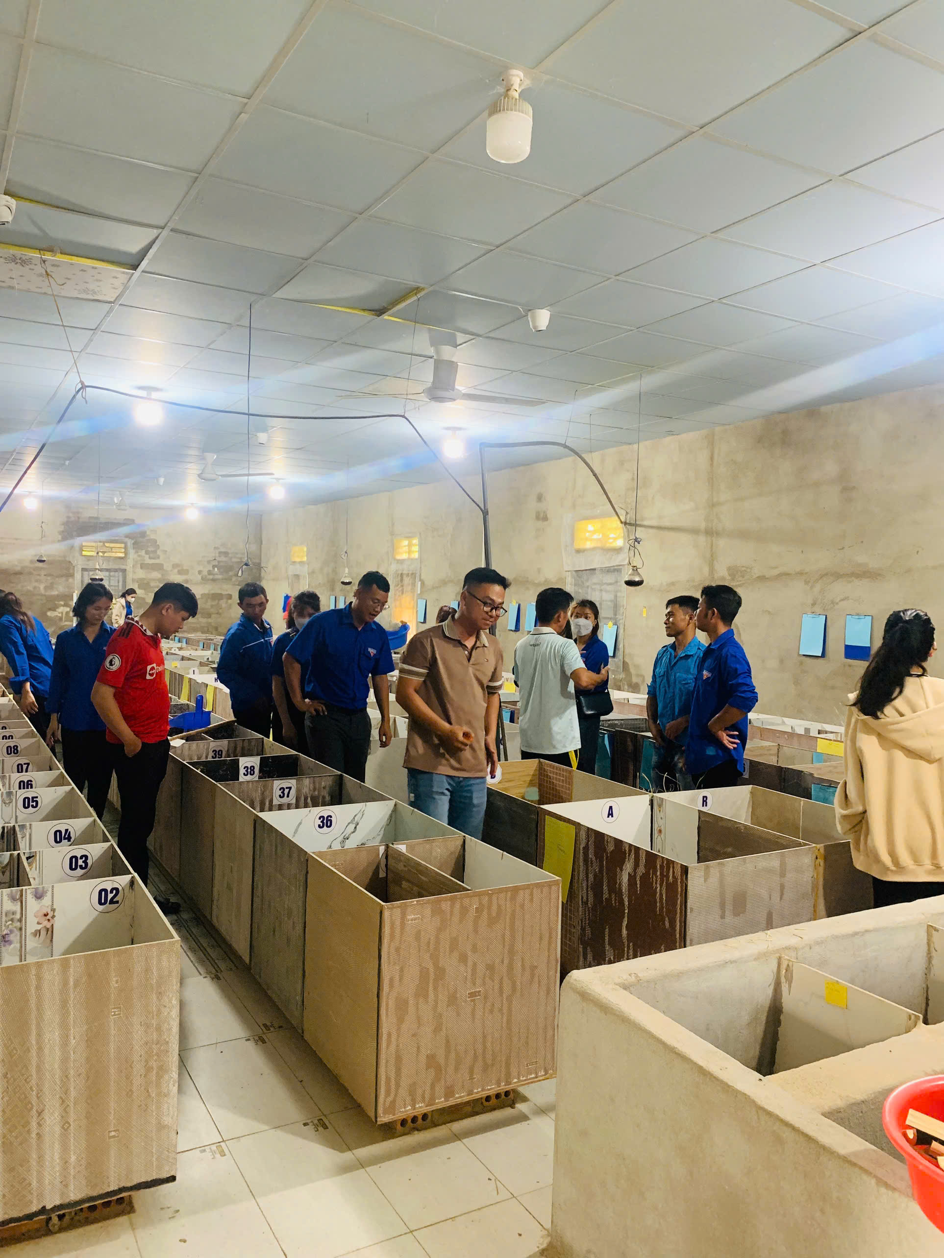 TỔ CHỨC THAM QUAN HỌC TẬP MÔ HÌNH THANH NIÊN  LÀM KINH TẾ GIỎI TẠI THÔN 1 XÃ AN NHƠN 