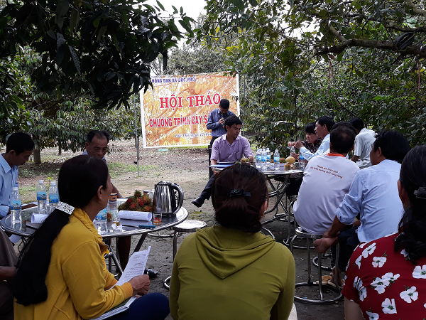 TẠO DỰNG KINH TẾ ỔN ĐỊNH VỚI VƯỜN CÂY ĂN QUẢ TỔNG HỢP