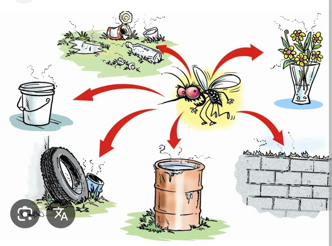 TUYÊN TRUYỀN CÔNG TÁC PHÒNG, CHỐNG BỆNH SỐT XUẤT HUYẾT