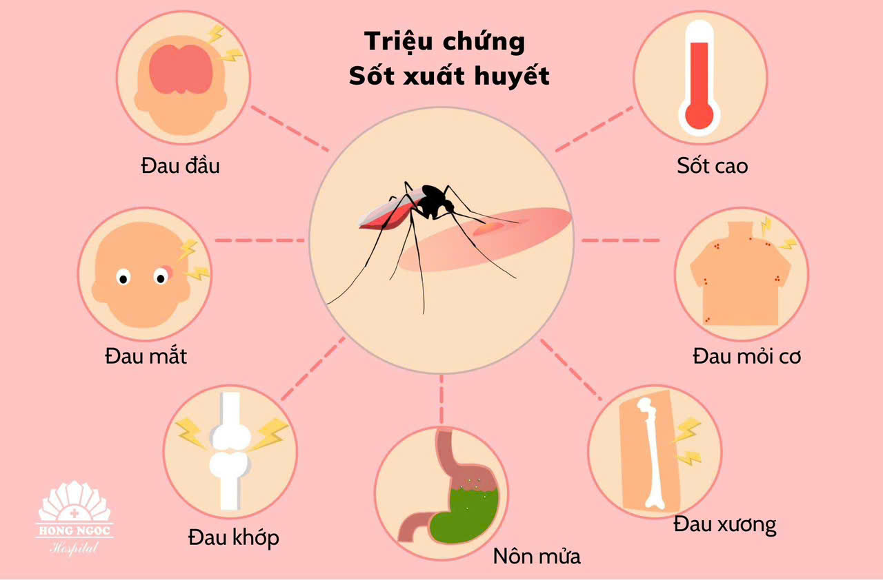 TUYÊN TRUYỀN PHÒNG CHỐNG SỐT XUẤT HUYẾT