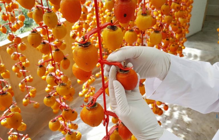 Cách làm hồng treo gió vàng ươm, dẻo ngọt, thơm ngon tại nhà
