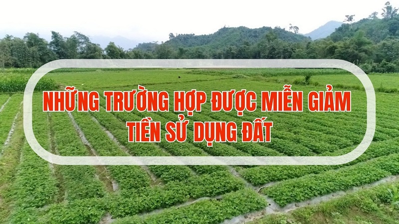 Quy định mới về miễn, giảm tiền sử dụng đất áp dụng từ 1/8/2024