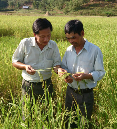 Cát Tiên những "Mùa vàng"