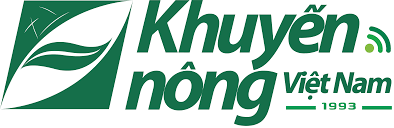 KỸ THUẬT TRỒNG VÀ CHĂM SÓC CÂY SẦU RIÊNG